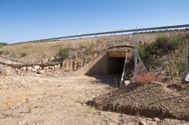 Yaban hayatı geçiş bir otoyol altında