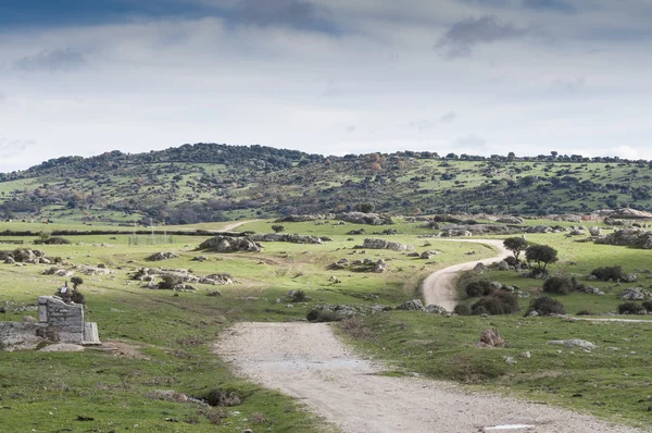 Estrada da sujeira em Dehesa de Navalvillar — Fotografia de Stock