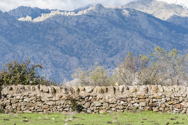 Steinmauer auf dem Feld — Stockfoto