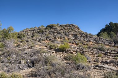 Kireçtaşları üzerine Akdeniz Derval'i