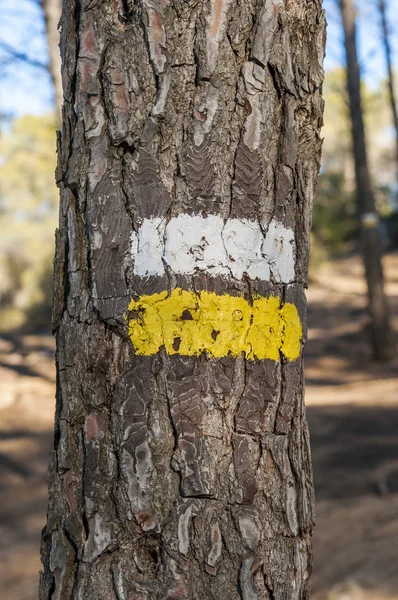 White and yellow marks of a Short Waymarked Path — Stock Photo, Image
