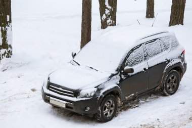 Sokakta grubunu araba