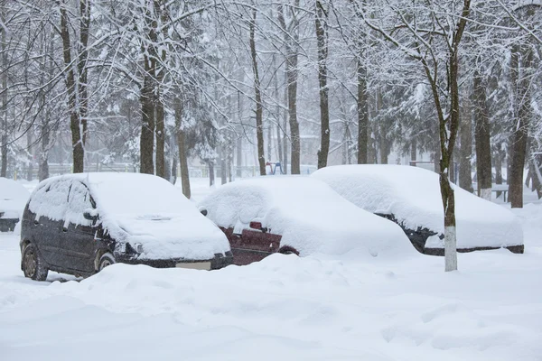 Snowbound cars  on the street — Stock Photo, Image