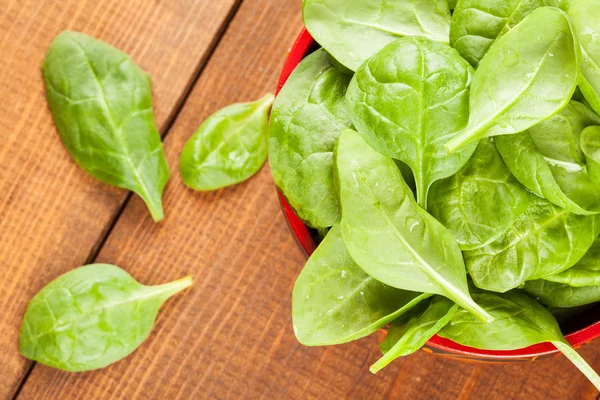 Fresh leaves of spinach — Stock Photo, Image