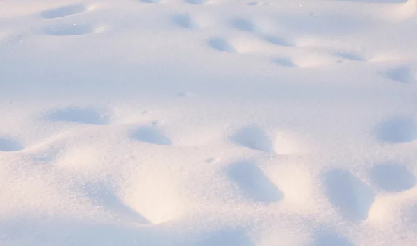 Снежный фон - крупный план — стоковое фото