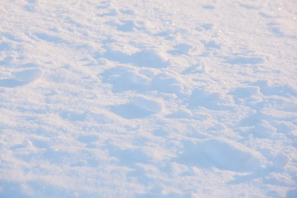 Fundo de neve - close-up — Fotografia de Stock