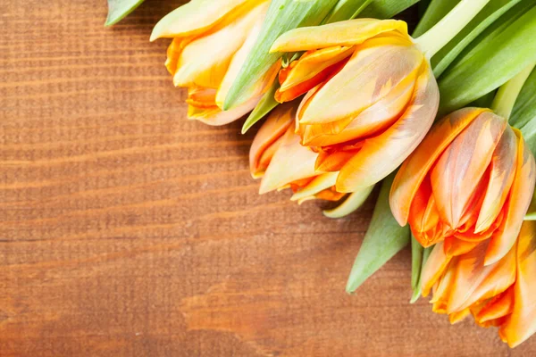 Frische orangefarbene Tulpen — Stockfoto
