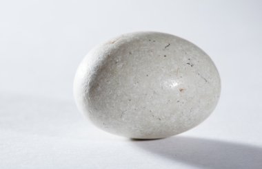 Beyaz oval taş 