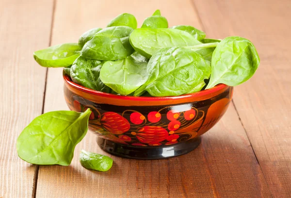 Fresh leaves of spinach — Stock Photo, Image