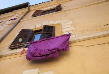 Keten tohumu kase tutan kadın 