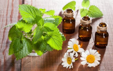 Papatya çiçek güzel kompozisyon