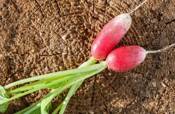 Fresh radish on  background — Stock Photo, Image