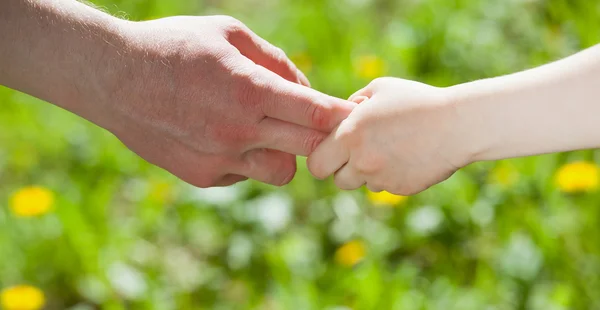 Handen van ouder en kind bij elkaar te houden — Stockfoto