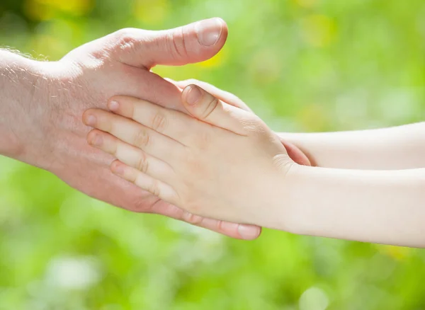 Hands of parent and child holding together — Stock Photo, Image