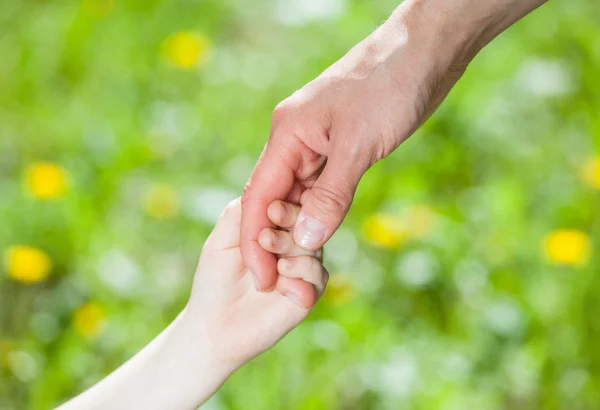 Die Hände von Eltern und Kind halten zusammen — Stockfoto