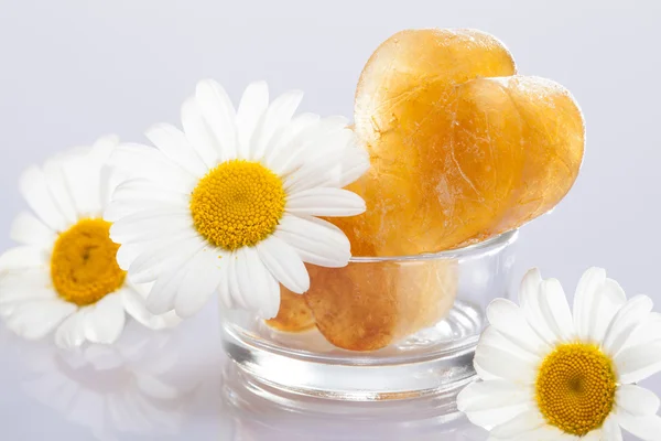 Kostki lodu rumianku i kwiatów — Zdjęcie stockowe