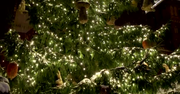 Árbol de Año Nuevo en el centro de la ciudad — Vídeos de Stock