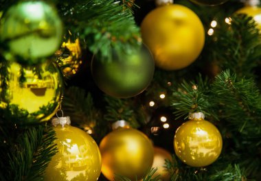 bir Noel ağacı parçası