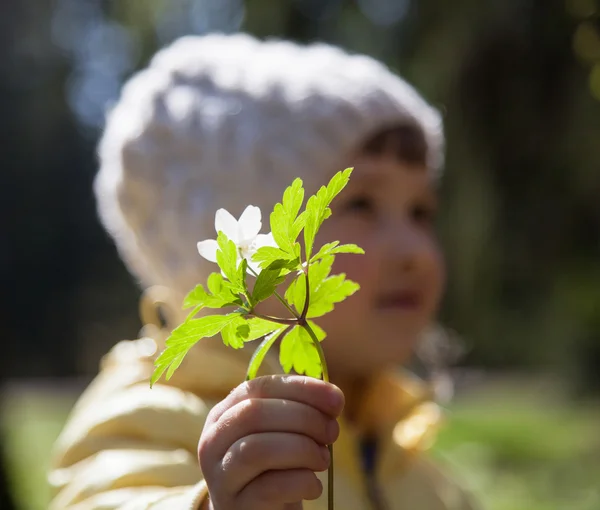 Little girl with flower — Stock Photo, Image