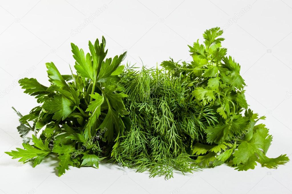 Fresh vegetarian  greens
