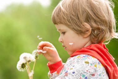 Çocuk beyaz dandelions ile