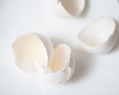 Kırık yumurta kabuklarını kapat.