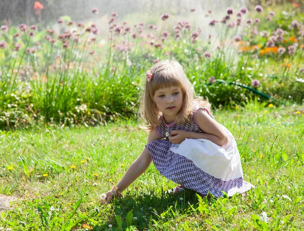 Ragazzina raccogliendo fiori — Foto Stock