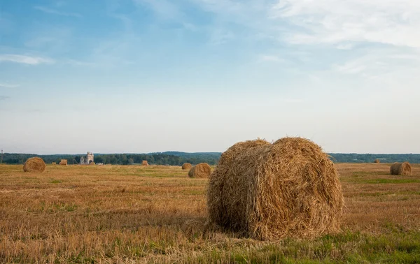 Szalma tekercs egy őszi mező — Stock Fotó