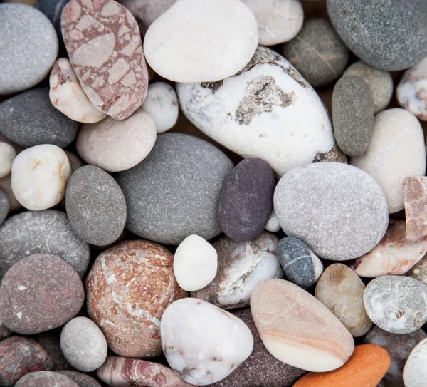 小石の多い海岸の背景 — ストック写真