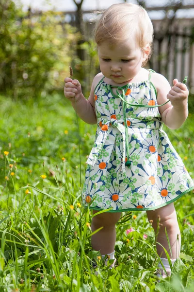 Söt liten flicka går i en park — Stockfoto