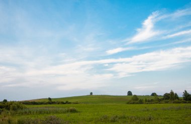 Güzel yaz manzarası