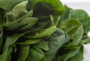 taze yaprak ıspanak