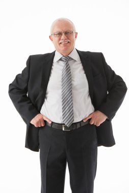 Dostça olgun basinessman portresi