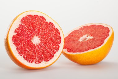 Greyfurt yakın çekim kesmek