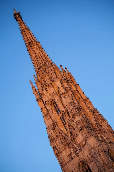 Věž katedrály St. Stephen (Stephansdom) — Stock fotografie