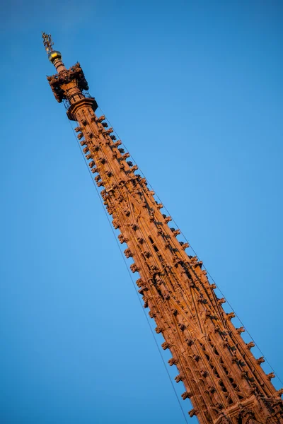 Spits van St. Stephen's kathedraal — Stockfoto