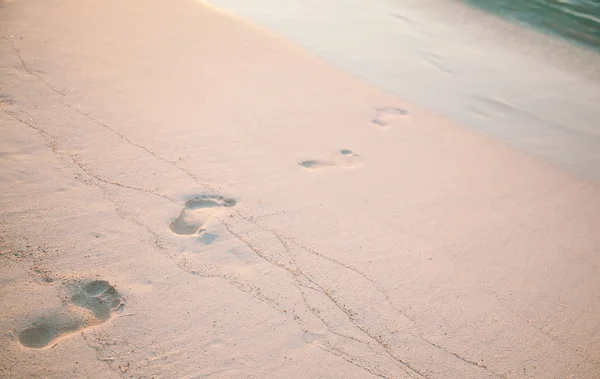 Świeże ślady na plaży — Zdjęcie stockowe