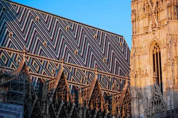 Fragment of St. Stephen's Cathedral — Stockfoto