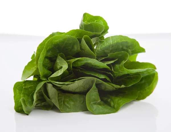 Fresh leaves of lettuce — Stock Photo, Image