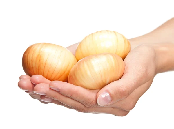 Mani che tengono cipolle — Foto Stock