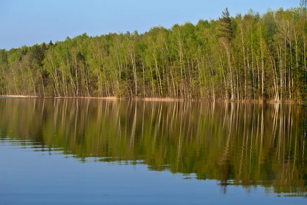 Beautiful lake in a wood — Stock Photo, Image