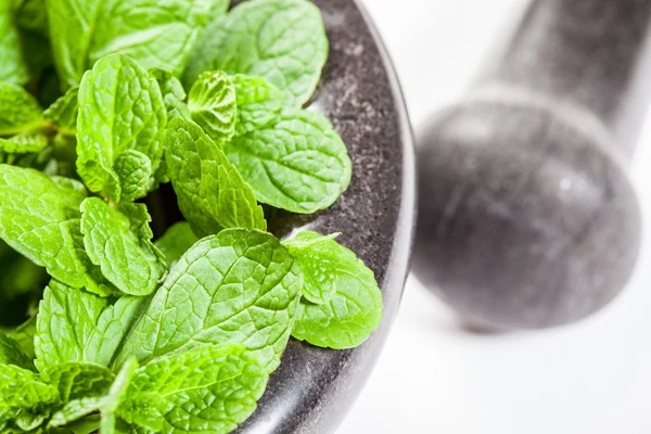 Brandy mint in a mortar — Stock Photo, Image