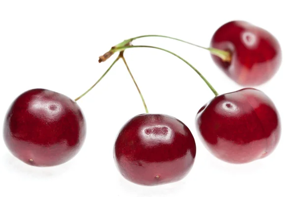 Four ripe cherries — Stock Photo, Image