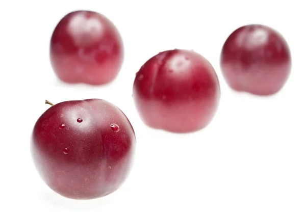 Plum berry dengan tetesan — Stok Foto