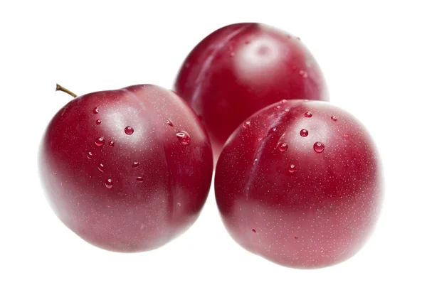 Plum berry dengan tetesan — Stok Foto