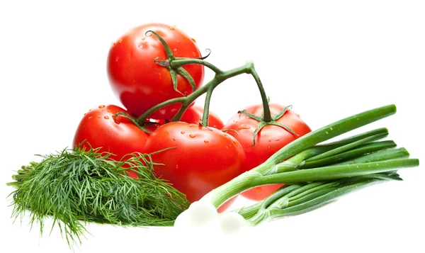 Tomatoes, dill and spring onion — Stock Photo, Image