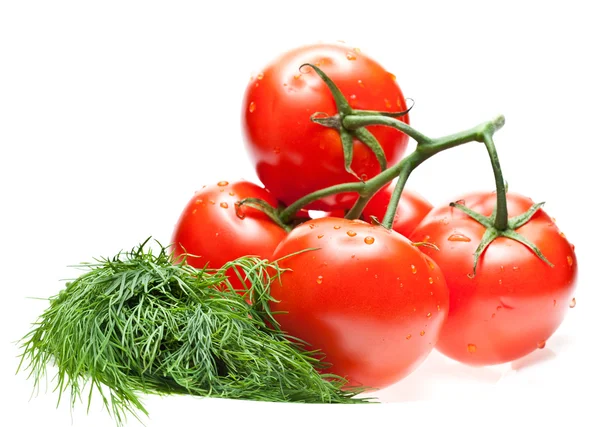 Tomatoes and dill for salad — Stock Photo, Image