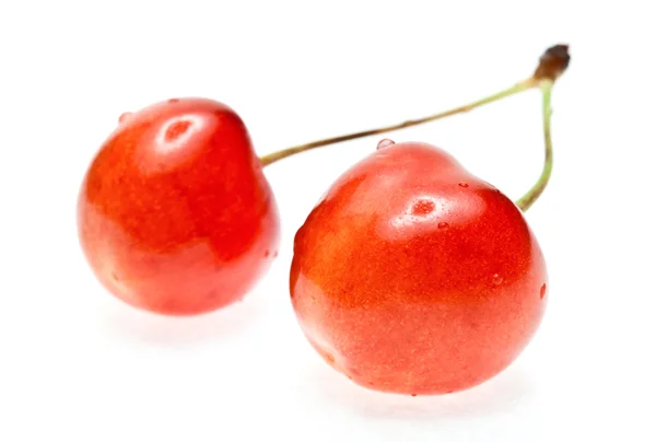 Cerises douces avec gouttes — Photo