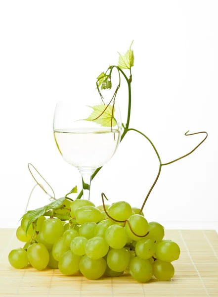 Grapevine, branch of grapes and glass of wine — Stock Photo, Image