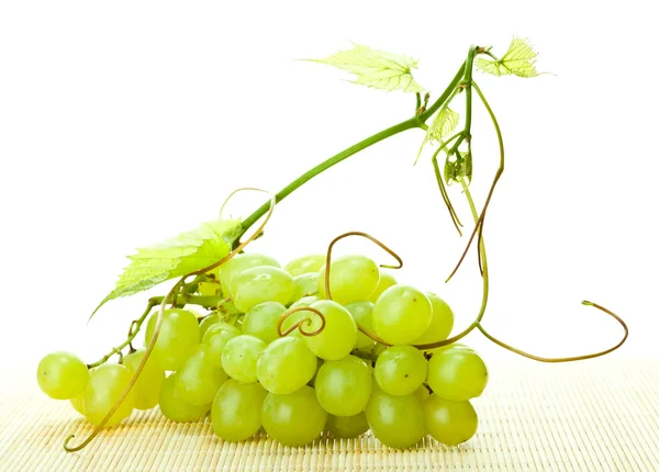 Branche de raisin et de vigne — Photo